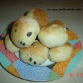 Pangoccioli