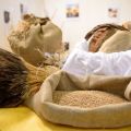 TORNA MERCATO MEDITERRANEO : CIBI / CULTURE /[...]