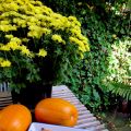 Zucca al forno