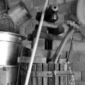 Ricetta tipica delle Marche: pane col mosto