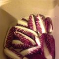 Involtini di radicchio rosso e mortadella