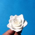 Fiori di zucchero