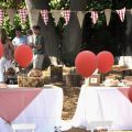 Country party