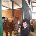 La mia passione per il cavallo