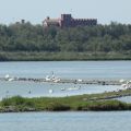 Agosto nel Parco Veneto del Delta del Po -[...]