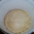 ANCHE IO PASTA MADRE: SOLIDA, IN SCAGLIE, IN[...]