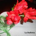 COME FARE LE ROSE CON LE FRAGOLE