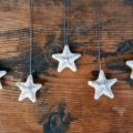 STELLE DI NATALE