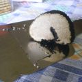 Il tartufo nero