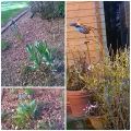 Bentornata primavera!