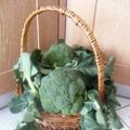 Con un cesto di broccoli... Parte prima