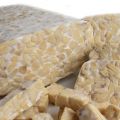 Tempeh