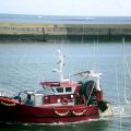 Di ritorno dalla pesca