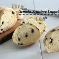 Pane alle olive con semola senatore Cappelli