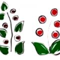 Collaborazione 