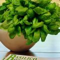 Verde e Oro. Il Basilico Genovese DOP al Premio[...]