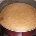 Pan di Spagna 2
