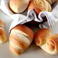 Panini all'olio !!!