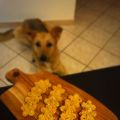 Biscotti per cani