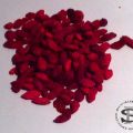 BACCHE DI GOJI