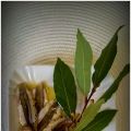 APERITIVO? ANTIPASTO? ALICI MARINATE
