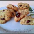 Golosissimi Biscotti Mirtilli e frutta secca