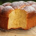 Pasta brioche