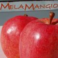 LE RACCOLTE:RICETTE DI TORTE DI MELE DI ZIRELA