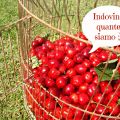 1° GIVEAWAY per le ciliegie! - indovina quante[...]