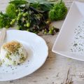 Tortino di Risi e Bisi con Squaquerello