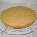 Decorare con lo zucchero a velo la torta allo[...]