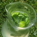 Basil Lemonade