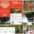 Pomodoro Cannellino Flegreo Tour 2025: tra[...]