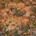 scaloppine meravigliose ai funghi