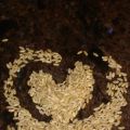 Risotto funghi-miso