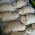 Panini all'olio