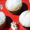 MUFFIN ALLA RICOTTA E GOCCE DI CIOCCOLATO