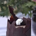 Charlotte ghiacciata di castagne
