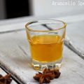Arancello speziato