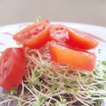 Hamburgher con germogli di alfa alfa