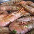 Gamberoni in guazzetto alla pescatora