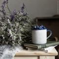 Agosto al solito posto e letture attese..