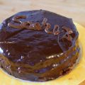 Torta Sacher senza lattosio