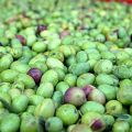 Storie italiane di persone e di cibo in[...]
