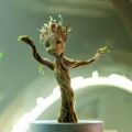 Biscotti Groot (dal film 