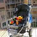 Passeggino Pettorale Maglietta - La nostra[...]
