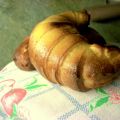 Cornetti-brioche integrali al miele