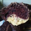 CIAMBELLA...