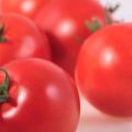 Il pomodoro giusto