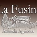 LA FUSINA: ORIGINALITA' NEL GUSTO, TRADIZIONE[...]